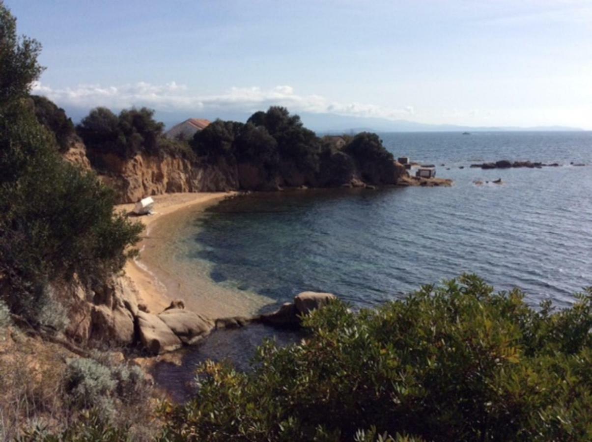 Villa D'Exception, Piscine, Vue Mer, Plage A 100M Ajaccio  Zewnętrze zdjęcie