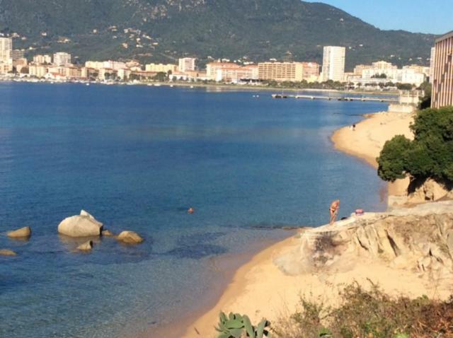 Villa D'Exception, Piscine, Vue Mer, Plage A 100M Ajaccio  Zewnętrze zdjęcie