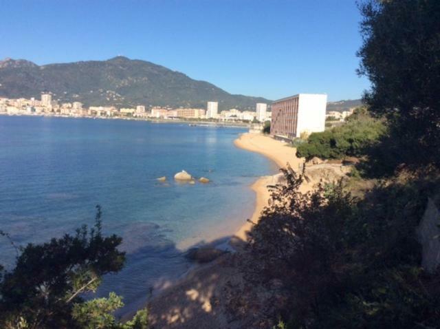 Villa D'Exception, Piscine, Vue Mer, Plage A 100M Ajaccio  Zewnętrze zdjęcie