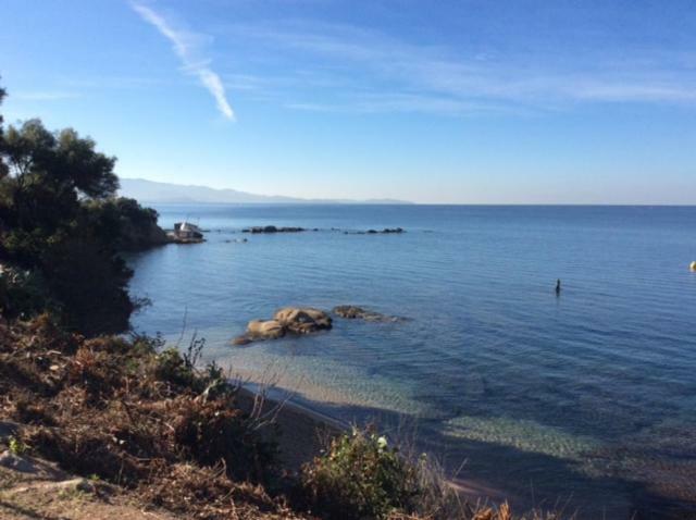 Villa D'Exception, Piscine, Vue Mer, Plage A 100M Ajaccio  Zewnętrze zdjęcie